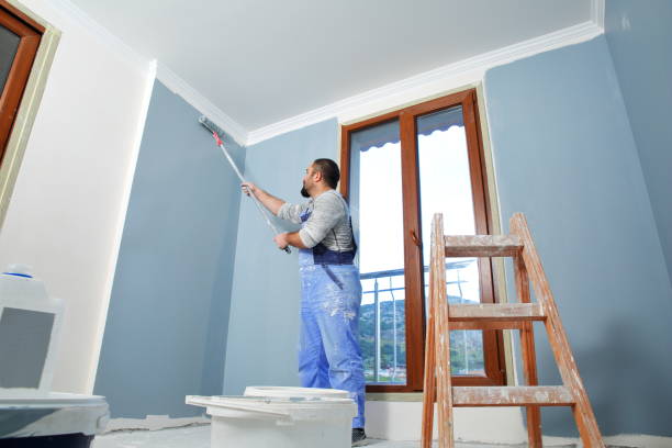 Best Drywall Removal and Disposal  in White Hall, WV